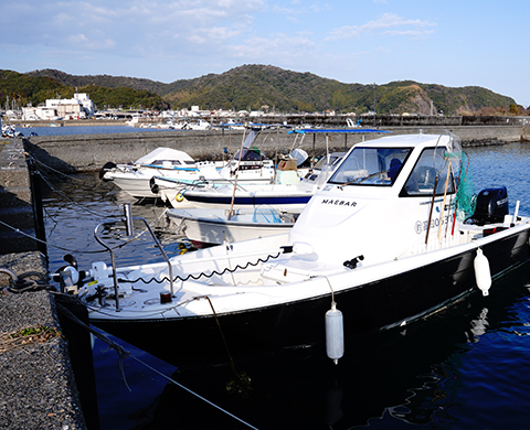 MAEBAR遊漁船 - 高知県 土佐市 宇佐沖の船釣り